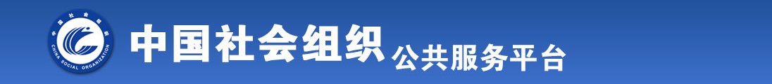 17c.con网站全国社会组织信息查询